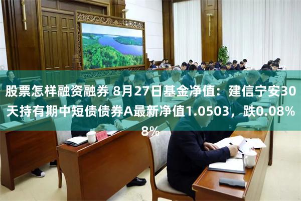 股票怎样融资融券 8月27日基金净值：建信宁安30天持有期中短债债券A最新净值1.0503，跌0.08%