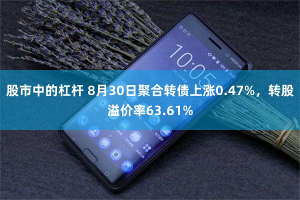 股市中的杠杆 8月30日聚合转债上涨0.47%，转股溢价率63.61%