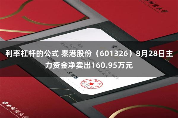 利率杠杆的公式 秦港股份（601326）8月28日主力资金净卖出160.95万元