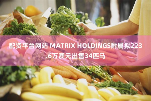 配资平台网站 MATRIX HOLDINGS附属拟223.6万澳元出售34匹马