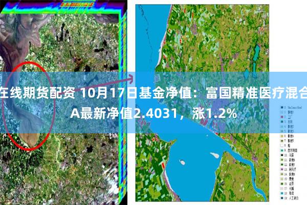 在线期货配资 10月17日基金净值：富国精准医疗混合A最新净值2.4031，涨1.2%