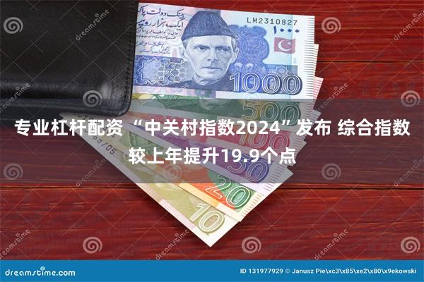 专业杠杆配资 “中关村指数2024”发布 综合指数较上年提升19.9个点