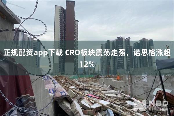 正规配资app下载 CRO板块震荡走强，诺思格涨超12%