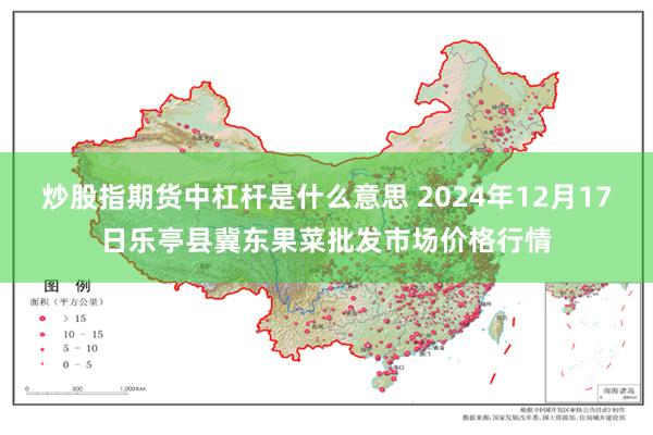 炒股指期货中杠杆是什么意思 2024年12月17日乐亭县冀东果菜批发市场价格行情