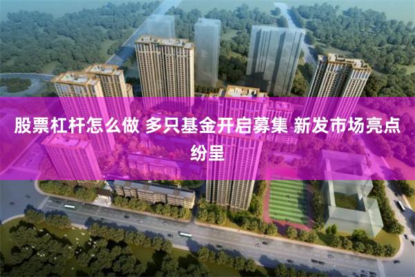 股票杠杆怎么做 多只基金开启募集 新发市场亮点纷呈