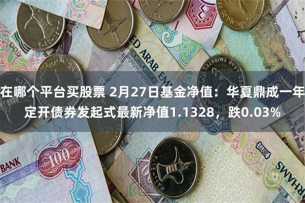 在哪个平台买股票 2月27日基金净值：华夏鼎成一年定开债券发起式最新净值1.1328，跌0.03%